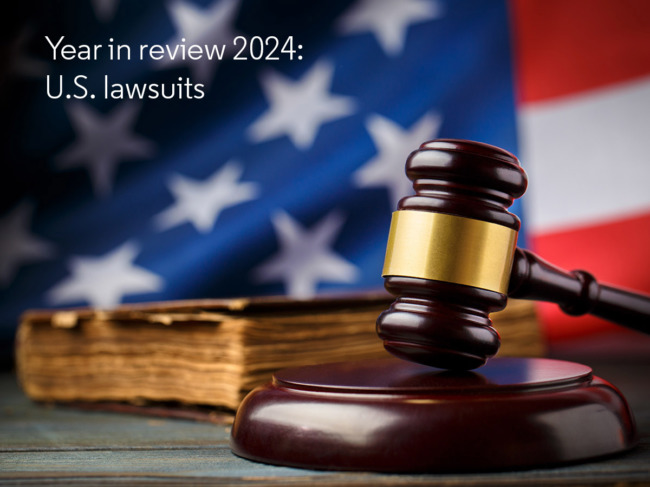 Year in review 2024 - US lawsuits